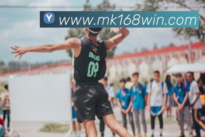 mk体育全站App